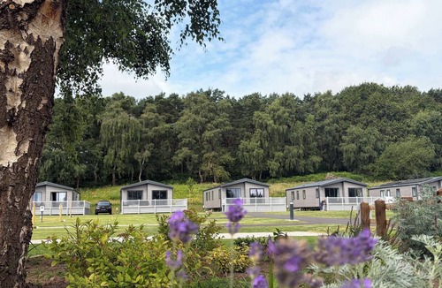 Cotebrook Cottage | THE OAKS 2 BEDROOMS, pet friendly in Delamere