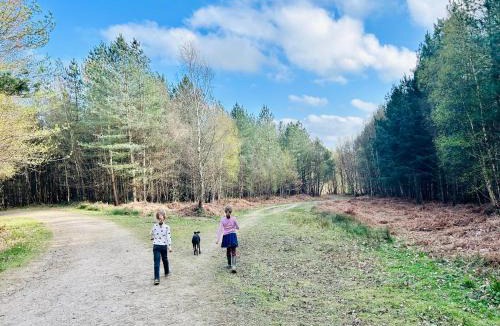 Wadhurst House | The Old Workshop, Wadhurst