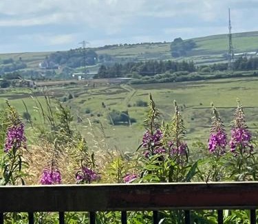 Belthorn House | The View