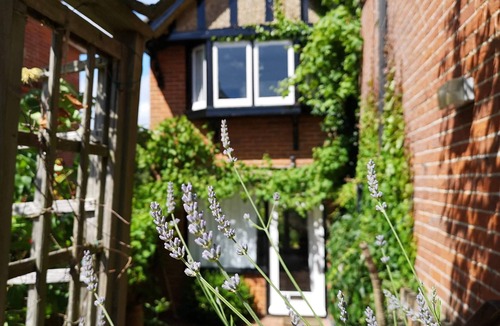 Nettlestone Cottage | Thin End, secluded holiday cottage in Seaview