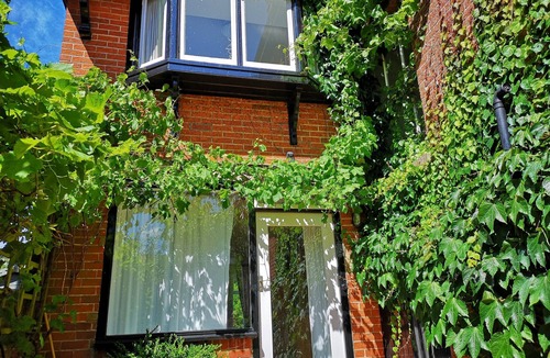 Nettlestone Cottage | Thin End, secluded holiday cottage in Seaview