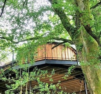 Black Torrington Apartment | Treehouse In Devon - riverside woodland hideaway
