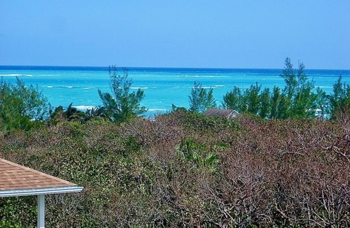 Green Turtle Cay House | 'TurtleDreams' - Overlooking Coco Bay!