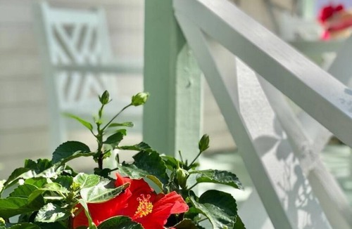 Dunmore Town Cottage | Upper Dunmore House Historic Sweet and Cozy Bahamian Style Cottage!