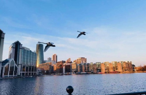 Island Gardens Apartment | Whole flat with free parking in London Canary Wharf with easy access from all airports and stations in around London