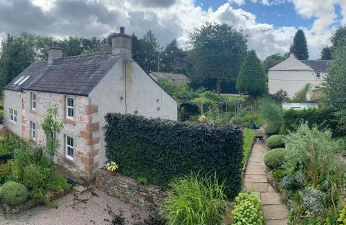 Penrith House | Yew Tree