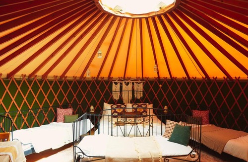 Liverton Other | Yurtcamp Devon