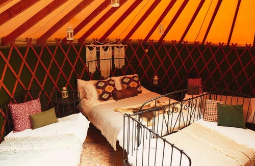 Liverton Other | Yurtcamp Devon