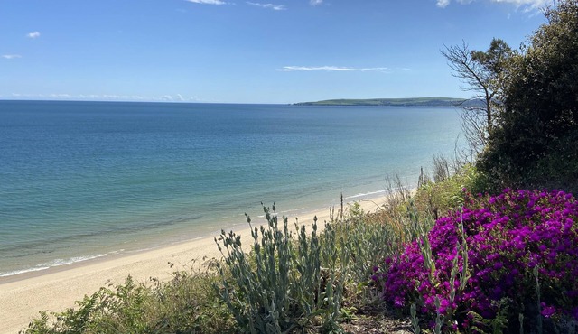 1 Beach Retreat 5 min to beach! Outstanding location! Lux family 2 BR Apartment!