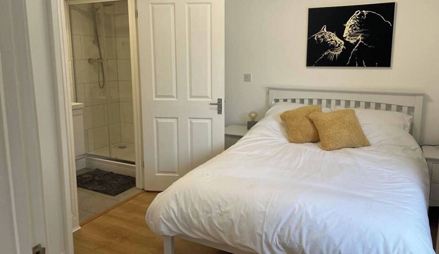 1 Bed and Sofa bed Sleeps 4,Pets Ok - Free parking