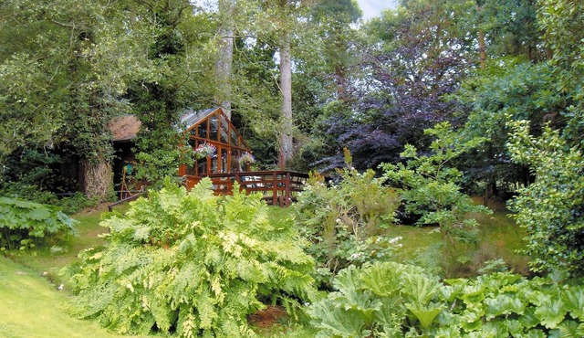 1 bedroom accommodation in Furze Hill, near Fordingbridge