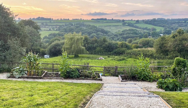 1 bedroom accommodation in Chard