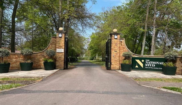 1 BR Apart 14 min Walk to Tattersalls EV Charging