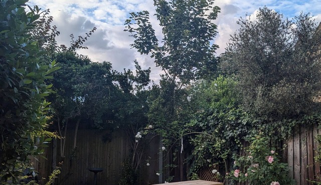 2 bed garden flat Hither Green with parking