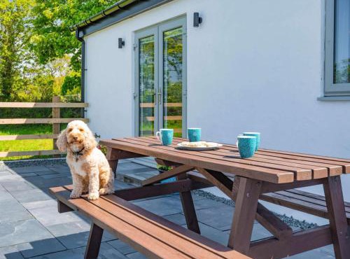 2 Bed in Caernarfon oc-88043