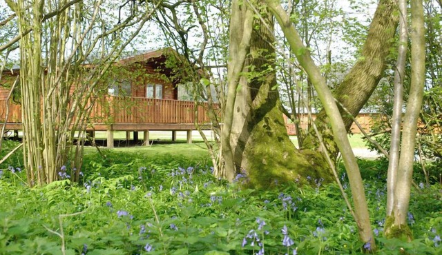 2 bedroom, 5 star, award winning Scandinavian Lodge (sleeps 4)