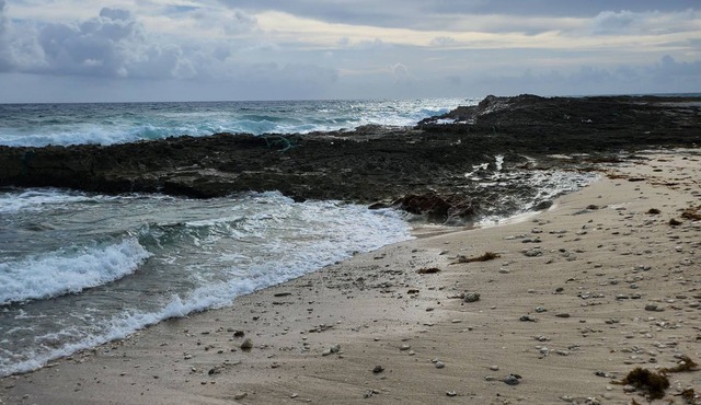 4BR Luxury Beach House in Exuma – 50ft to Calm Water, Sleeps 10