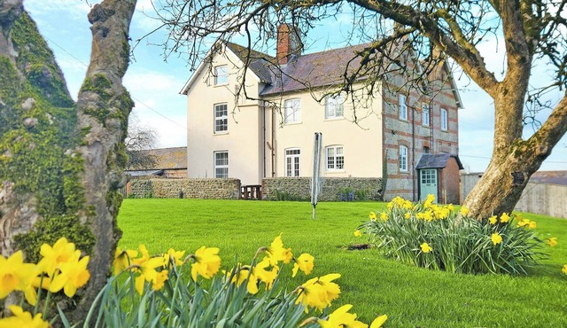 7 bedroom accommodation in Plush, near Piddletrenthide