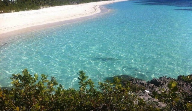 9 Acres of Pure Bahamas
