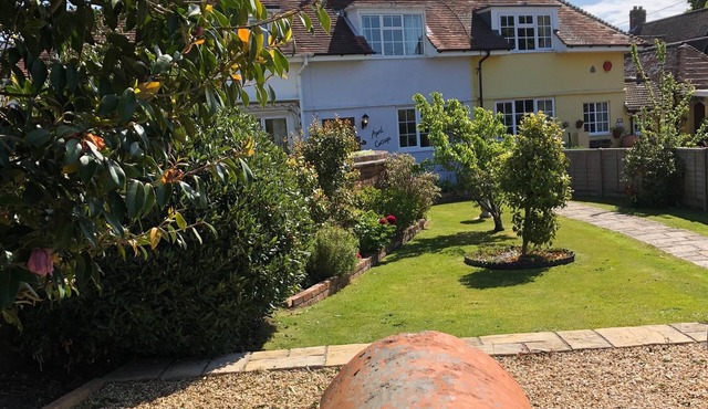 A beautiful cottage in the heart of the New Forest and a short drive to beaches
