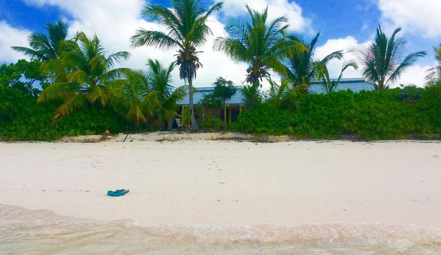 A Home On The Beach For The Two Of You As Well As Your Kids And Your Pet