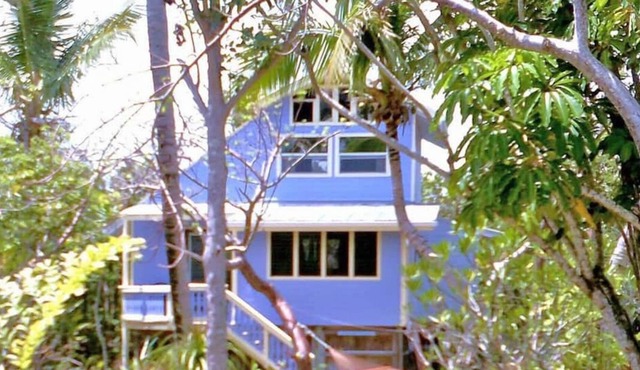 A Tropical Beach Retreat