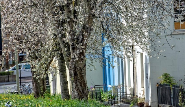 A Very British Place to Stay - 3 Bedrooms Central