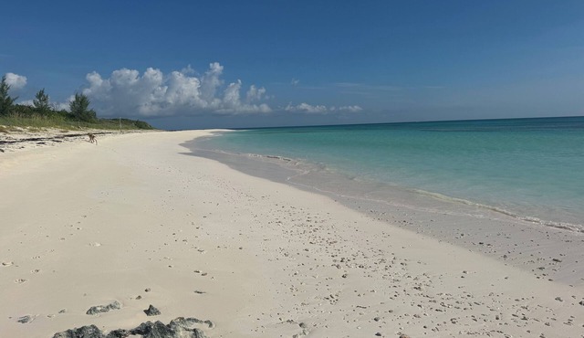 Abaco's New Luxury Resort.Beach, Marina, Pool & More! nOur 4BR/4BA Villa