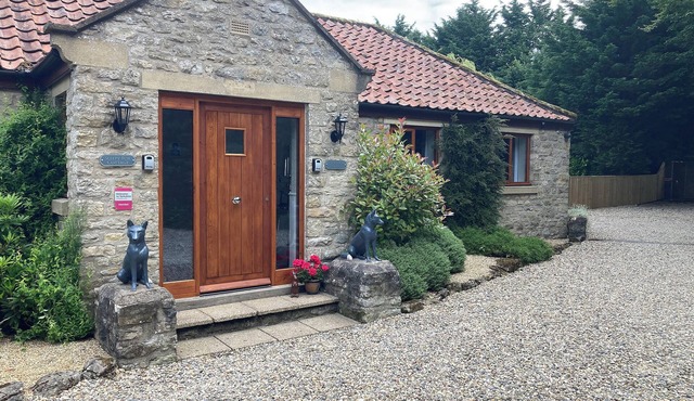 All on the Ground Floor: Open plan living space.