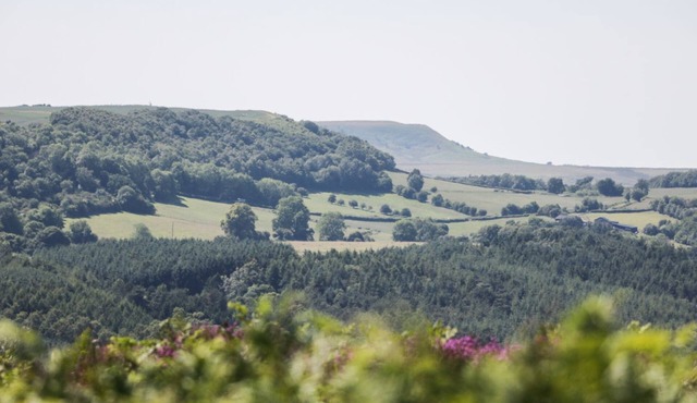 ANVIL COTTAGE, pet friendly in Kirkbymoorside