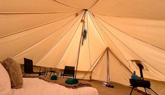 Barn Owl Tent in Meadow