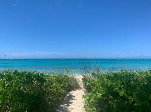 Beach'nBarefoot (Love Beach) - nestled on the beach