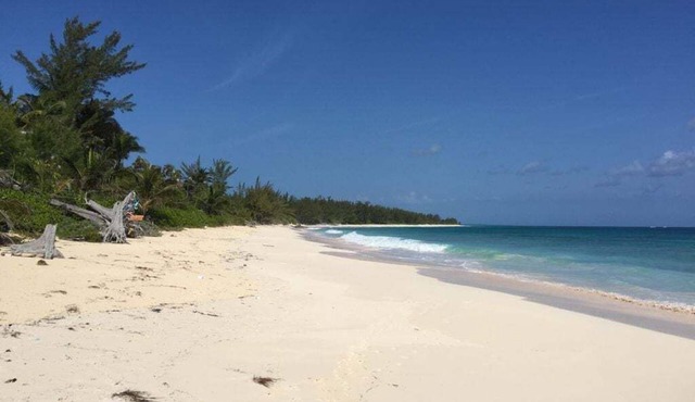 Beachfront Cottage with 50 Mile Ocean View and Pool Access
