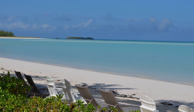 Beachfront large one bedroom studio, adjoining studio can be added to make 2/2.