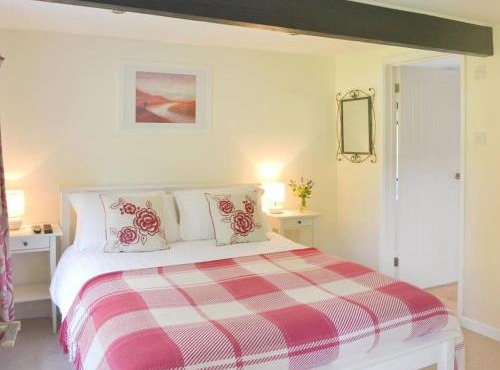 Beautiful Dartmoor cottage overlooking vineyard