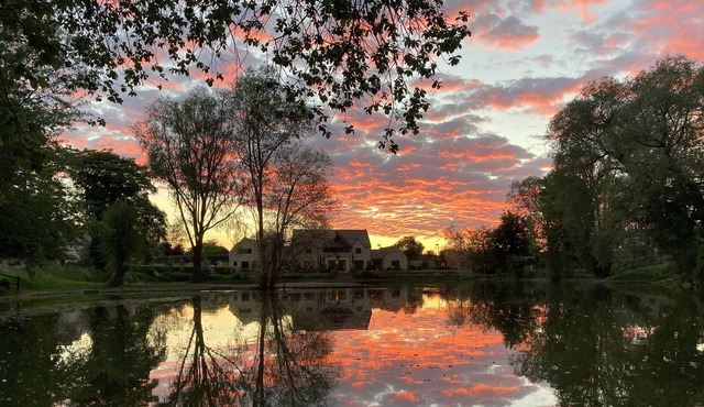 Beautiful View Of Lake