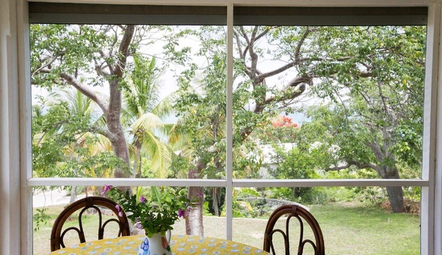 Beautiful Hibiscus House