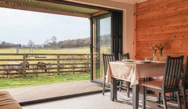 Beech Tree Cabin