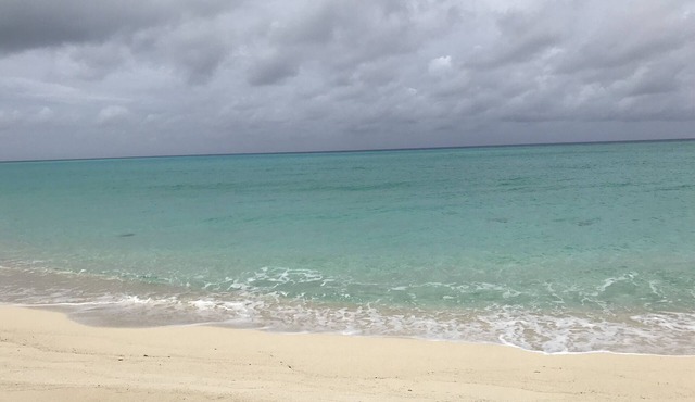Bimini Cove Resort and Marina, located at South Bimini, Bahamas.