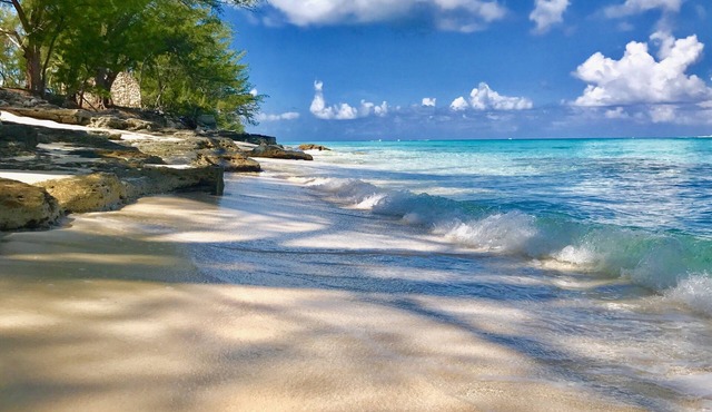 Bimini Hideway - Apex