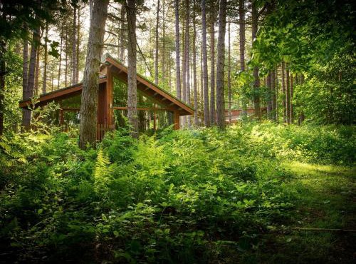 Blackwood Forest Cabins - Forest Holidays
