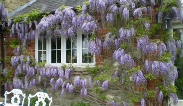 Blounts Court Farm