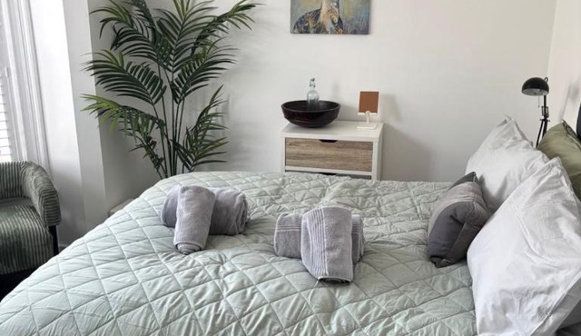 Boutique Calm Room with Soft Luxury Finishes