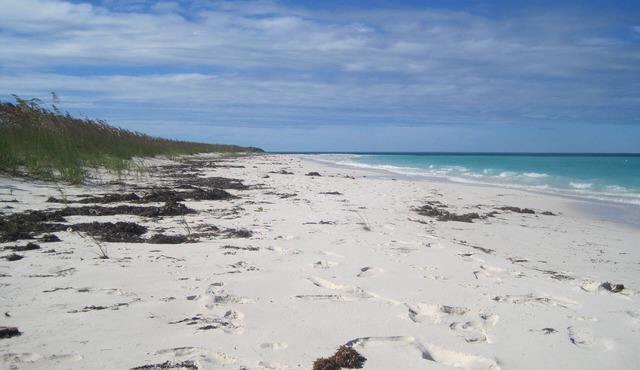 Breezy Island Cottage: A Private Bahamian Escape