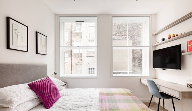 Bright Spacious Modern One Bedroom Apartment (2)