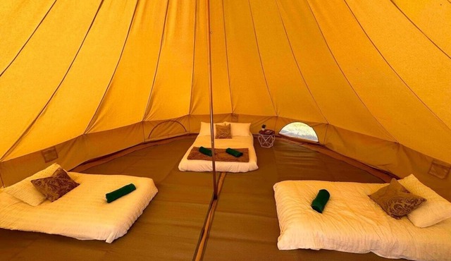 Buzzard's Tent In Meadow
