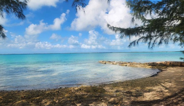 By the Bay - Brand New Apartment, Steps to the Sea, Walk to Town