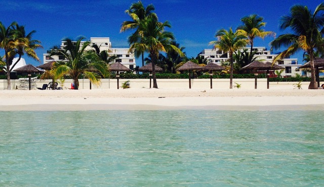C. B. 1503 - Beachfront Bahamas Freeport Port Lucaya Tropical Paradise!