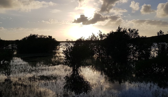 Ce'Van Villas at Grog Pond - "Nature's Nest Of Comfort"