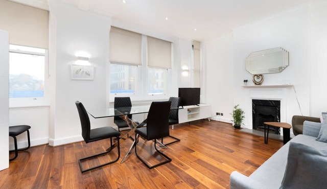 Central London Flat (FS1)